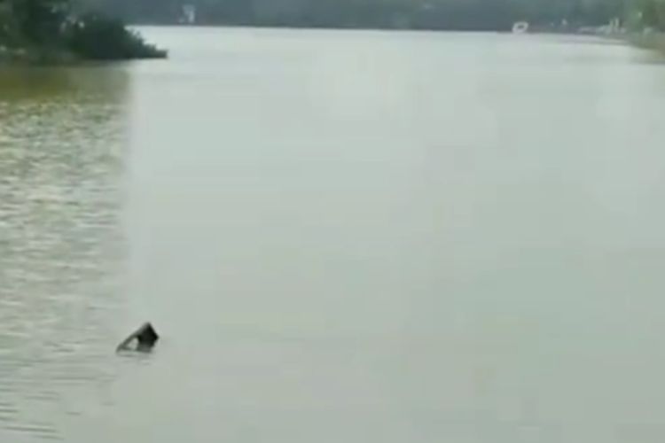 Pesawat Jatuh di Buperta Depok, Ternyata Pesawat Pelatihan Calon Pilot