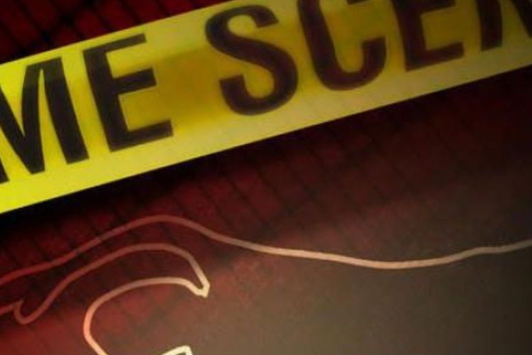 Mengenaskan, Pria di Ogan Ilir Tewas Tersetrum Perangkap Babi yang Dipasangnya Sendiri