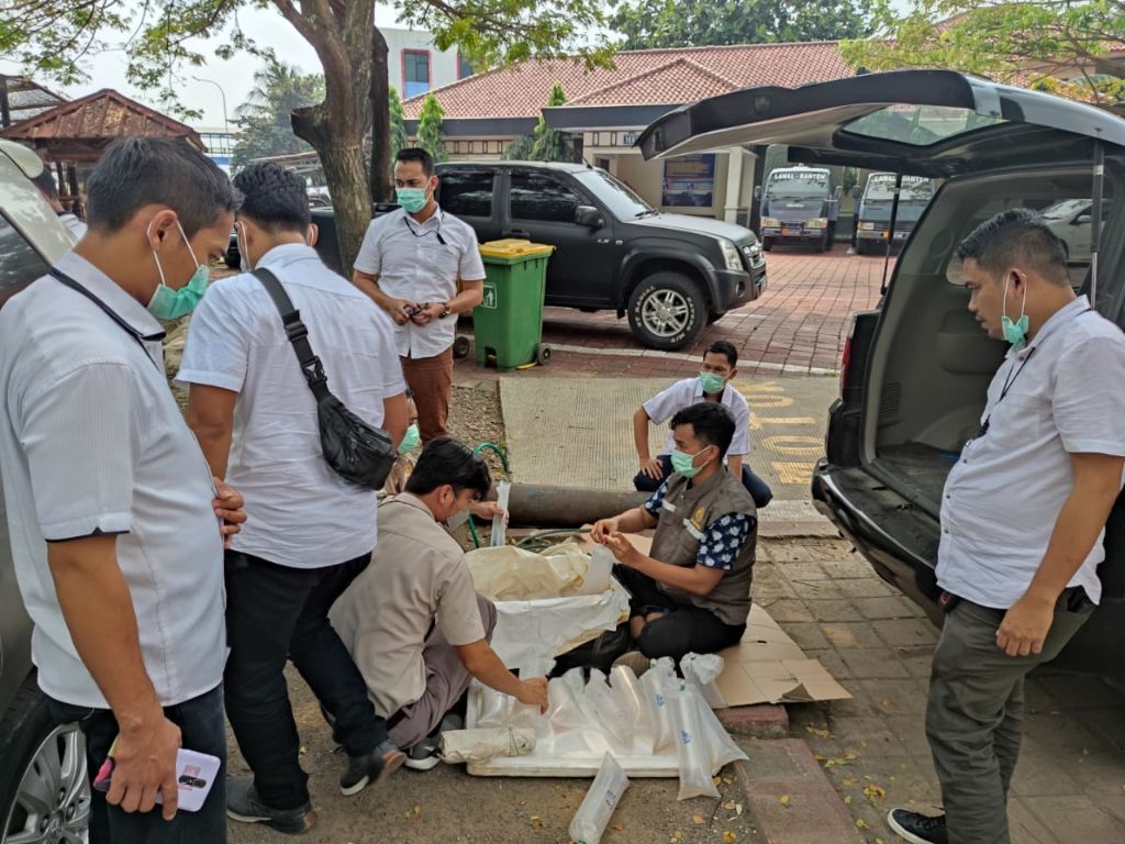 Banyak Kasus Penyelundupan Benih Lobster di Indonesia,  Dosen UGM Lakukan Penelitian