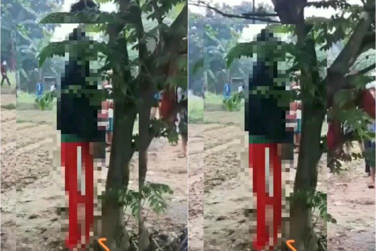 Geger! Warga Bekasi Temukan Mayat Tanpa Identitas Tergantung di Pohon Ceri