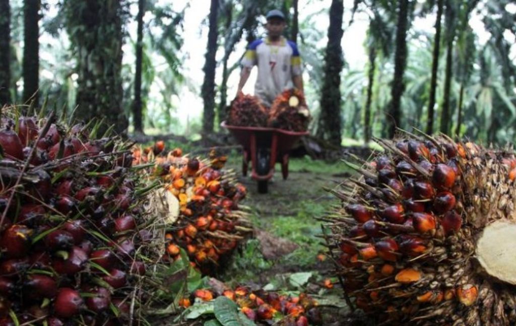 Serahkan Draf Persoalan LSM Asing ke Kemendagri, PB HMI Minta Semua Pihak Waspada