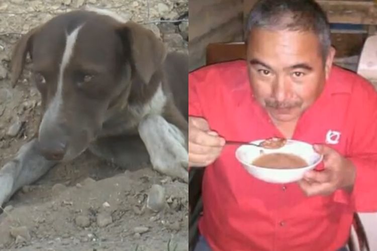Anjing Setia Ini Masih Menunggu di Luar Tambang Meski Pemiliknya Tewas dalam Ledakan