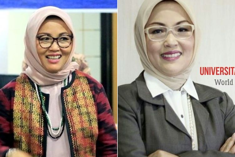 Sosok Dwia Aries Pulubuhu Rektor Unhas Rangkap Jabatan Komisaris, Pernah Belajar di Yunani