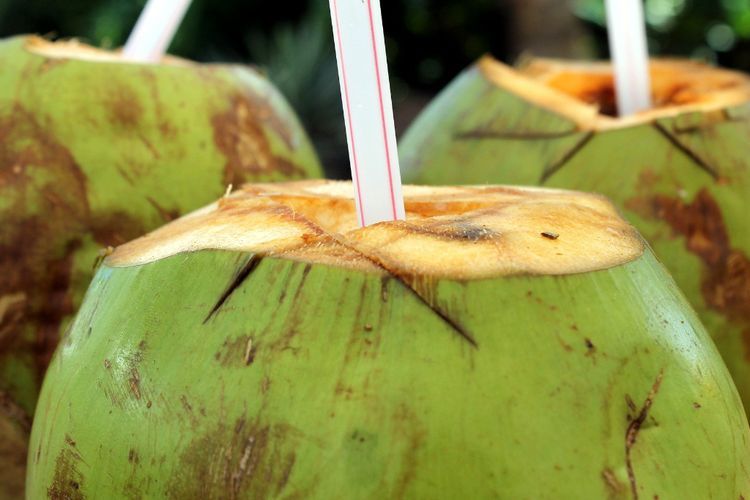 Obat Keracunan Makanan dari Bahan Alami, Dijamin Manjur!