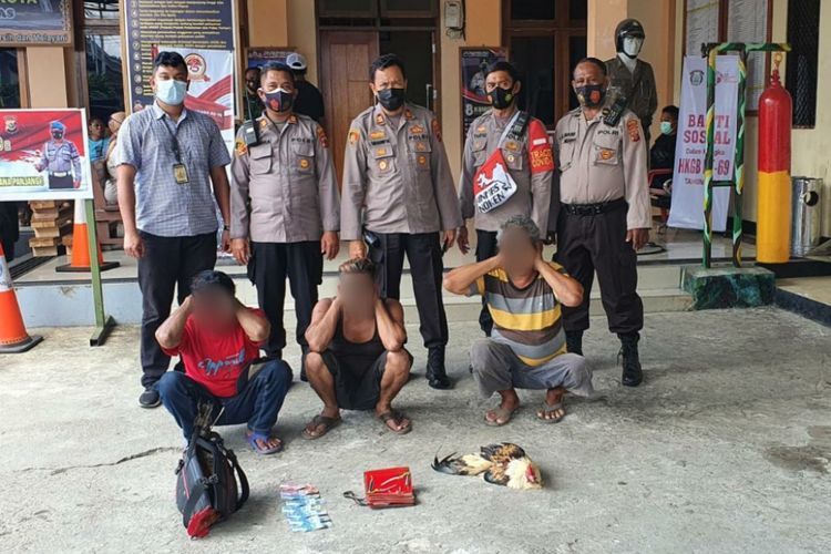 Judi Sabung Ayam Digerebek Polisi di Papua, 3 Orang Diamankan
