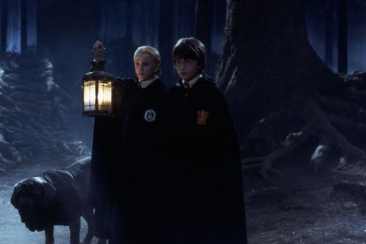 Hutan Terlarang Harry Potter akan Kembali Dipamerkan