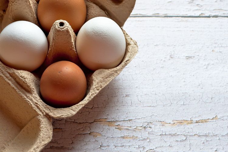 10 Contoh Makanan yang Mengandung Protein Hewani dan Nabati