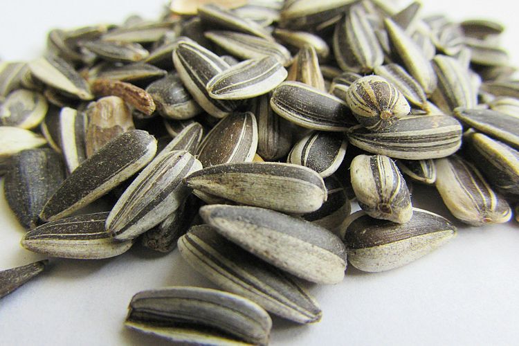 7 Makanan yang Mengandung Vitamin E untuk Imunitas Tubuh