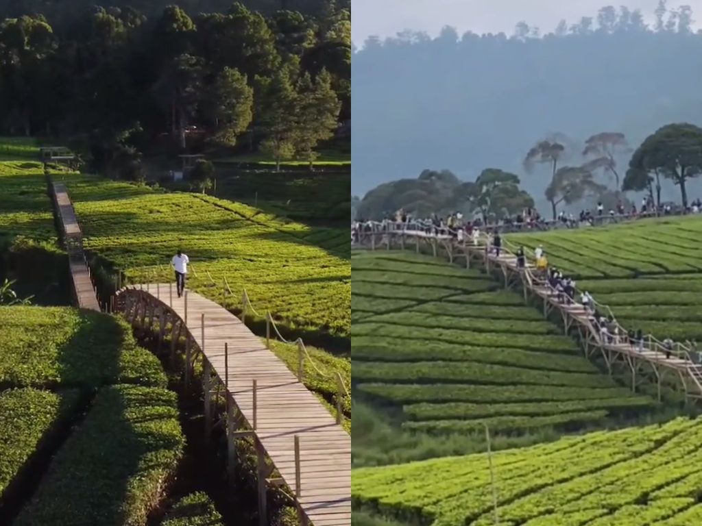 Ekspektasi vs Realita di Objek Wisata Nuansa Riung Gunung, Pangalengan yang Viral