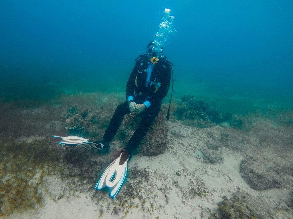 Bersaing dengan Thailand & Maldives, Gen Z Wajib Bantu Ekspos Wisata Selam di Indonesia