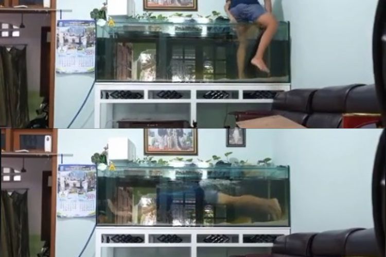 Ada-ada Saja! Pria Ini Berenang di Akuarium Rumahnya Bareng Ikan Hias: Akibat Efek PPKM