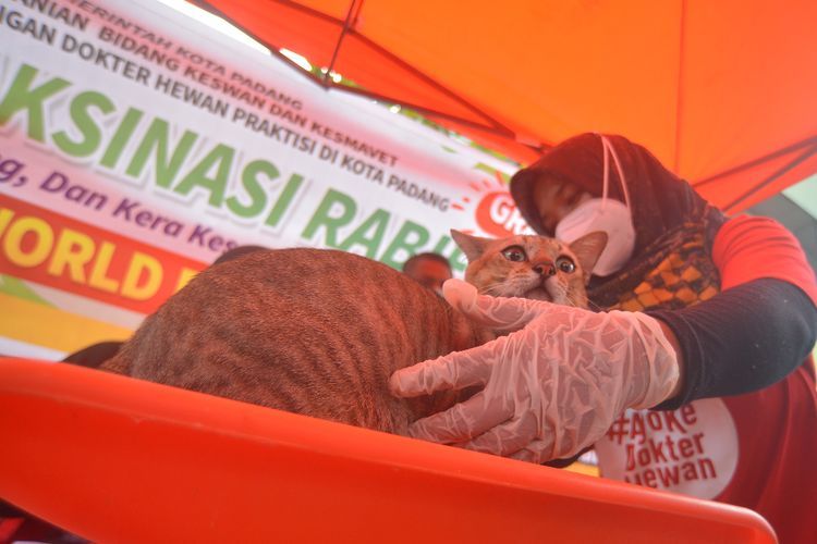 FOTO: Vaksin Rabies Gratis di Padang