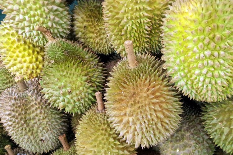 Aroma Buah Durian Bikin Panik Warga Australia, Sempat Dikira Kebocoran Gas
