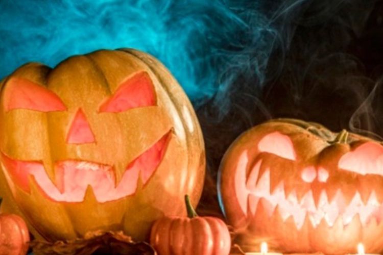 Mengapa Labu Selalu Identik dengan Halloween? Inilah Asal Muasalnya