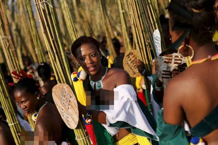 Upacara Tari Buluh di Afrika Selatan, Pesertanya Hanya Wanita Muda yang Masih Perawan