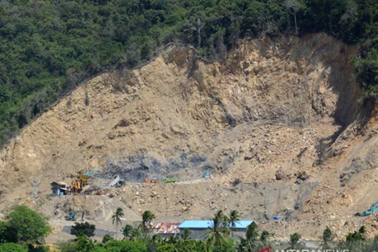 Dipolisikan Karena Mengkritik Jokowi Soal Deforestasi, Begini Tanggapan Kepala Greenpeace