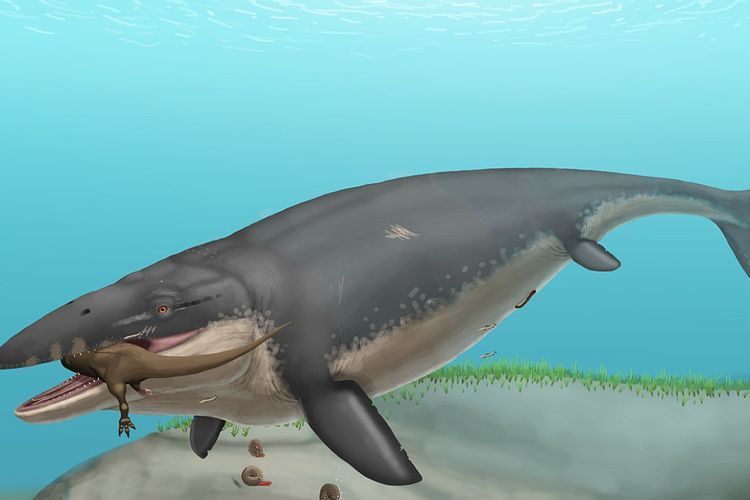 Identifikasi Fosil Rahang Mosasaurus Ungkapkan Kehidupan dari Predator Lautan!