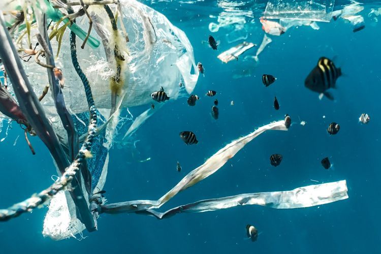 Denmark Habiskan Rp2 Miliar untuk Bersihkan Pantai, Tapi Buang Sampahnya Kembali ke Laut