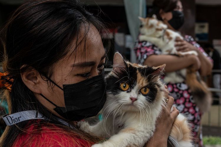Vaksinasi Rabies Gratis di Jakarta, Berikut Foto-fotonya