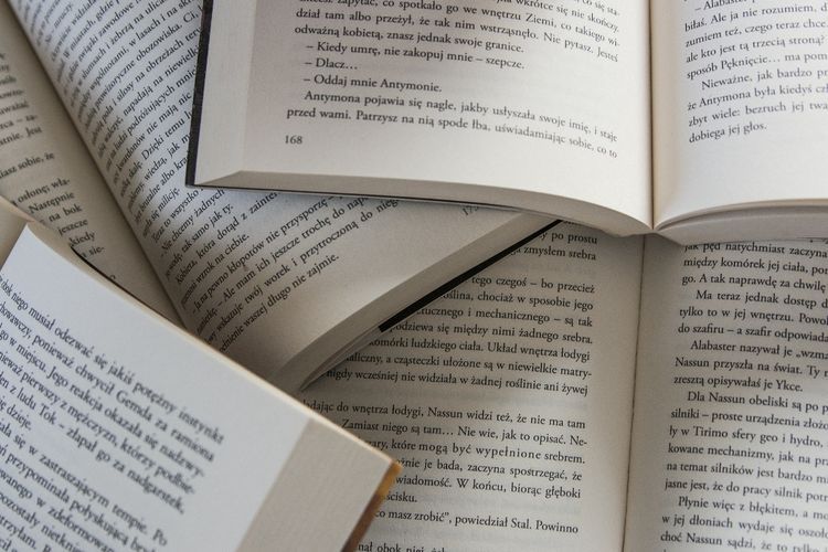 Pengertian Majas Personifikasi Lengkap dengan Contohnya