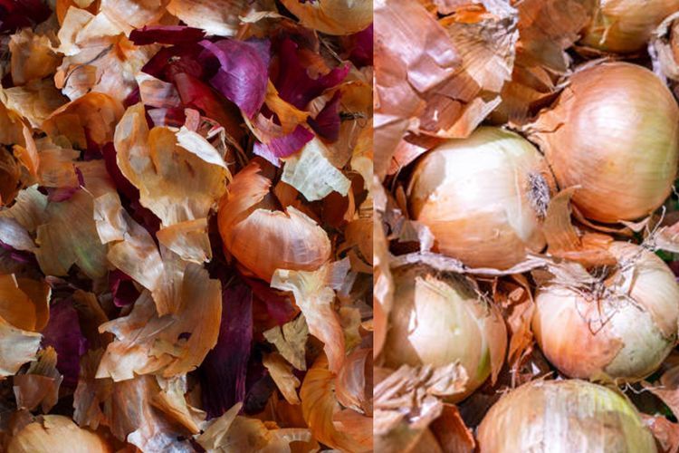 Jangan Dibuang, Ini 3 Manfaat Tak Terduga dari Kulit Bawang