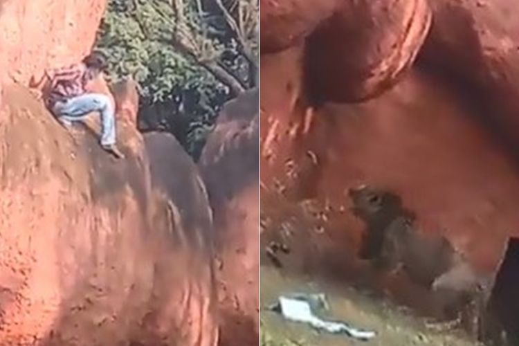 Diduga Alami Gangguan Jiwa, Pria Ini Nekat Masuk  ke Kandang Singa untuk Cari Berlian