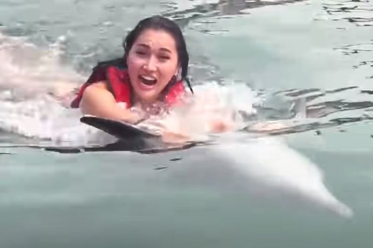 3 Fakta Kematian 2 Lumba-Lumba di Bali, Ditunggangi Lucinta Luna Hingga Dugaan Eksploitasi