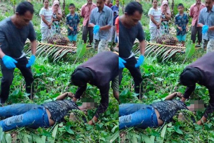 Terkapar di Kebun Sawit dengan Tubuh Terbakar, Pria di Tapteng Diduga Tersengat Listrik