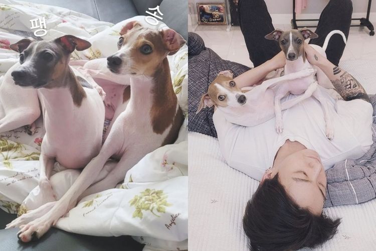 Aksi Jungkook BTS Trending Setelah Mengunggah Momen Menggemaskan Bersama Anjingnya