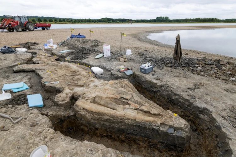 Penemuan Baru, Kerangka 'Naga Laut' Raksasa Ditemukan di Inggris, Bakal Siap Dipamerkan