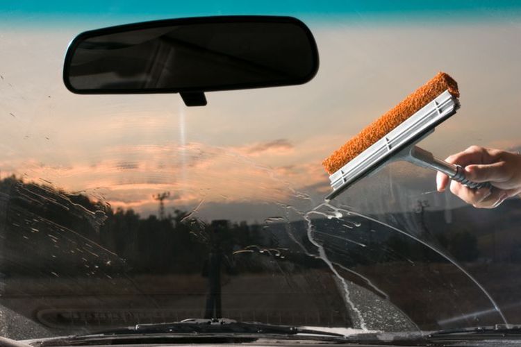 Tips Kaca Mobil Terhindar dari Jamur yang Mengganggu, Ini Empat Langkah Kiatnya