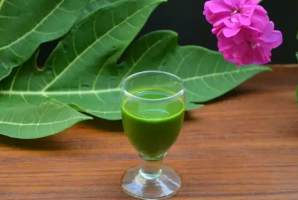 7 Minuman Herbal untuk Demam yang Aman dan Bikin Badan Cepet Pulih