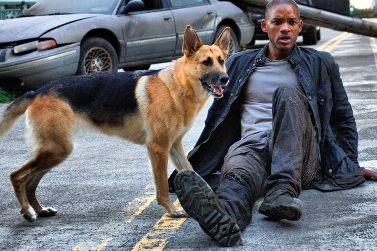 Kelanjutan dari Film 'I Am Legend' Terbaru Sedang Dikembangkan Warner Bros