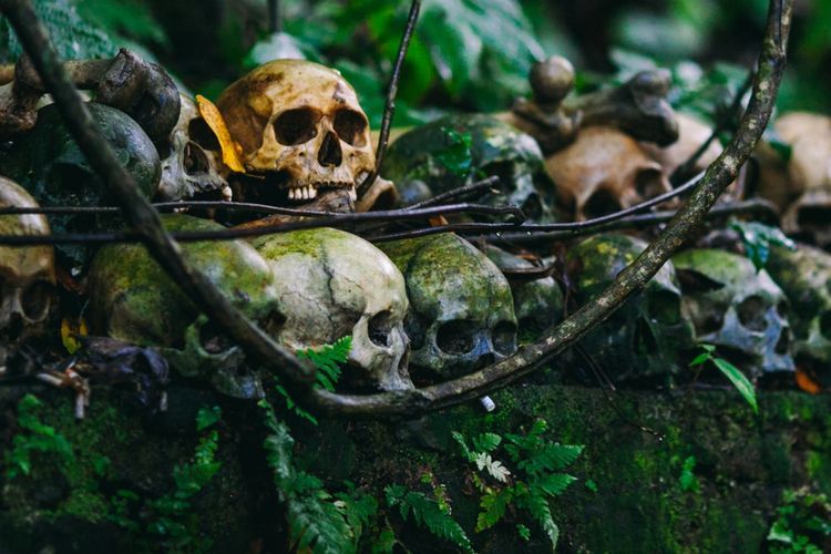 Pembantaian Akkaraipattu, 80 Petani Diduga Dibunuh oleh Personel Angkatan Darat Sri Lanka