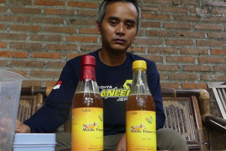 Ide Bisnis! Budi Daya Madu Klanceng, Sebulan Cuan hingga Rp12 Juta