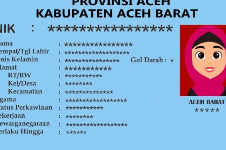 5 Cara Cek NIK KTP Secara Online, Terbaru 2022!