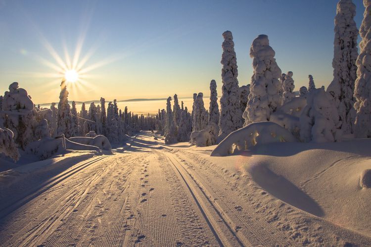 5 Tahun Berturut-turut Finlandia Jadi Negara Paling Bahagia di Dunia, Denmark Posisi ke-2