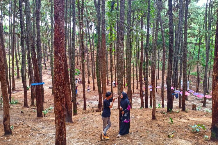 Dulunya Tempat Kemah Pramuka, Sekarang Jadi Tempat Healing Anak Hits Pekanbaru! 