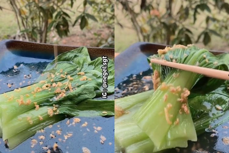Olahan Pokcoy Anti Bosan, Cocok untuk Menu Sahur Anak Kos