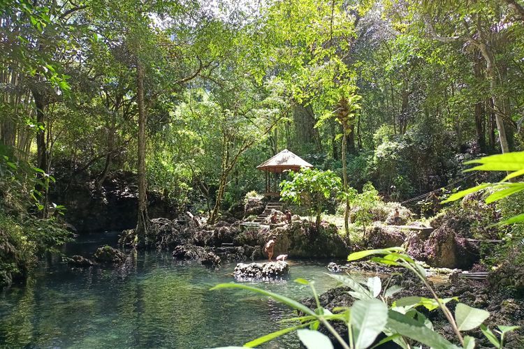 Ada Pantangan Datang ke Kolam Keramat Toraja, Punya Belut Purba Kalau Dimakan Bisa Mati! 