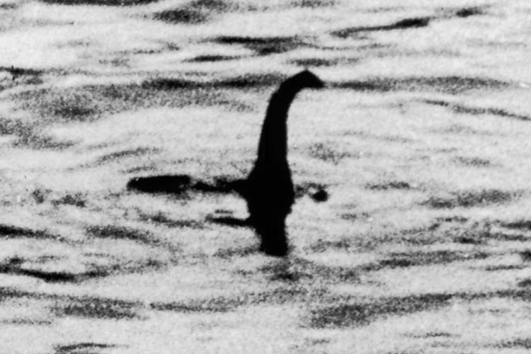 Terungkap, Misteri Monster Loch Ness Rupanya Hanya Penis Ikan Paus yang Salah Diartikan