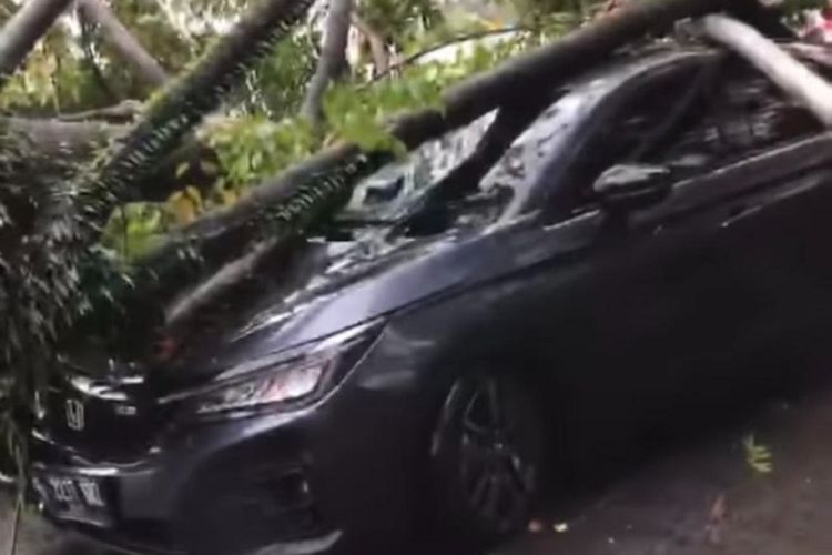 Pohon Tumbang di Fatmawati, 2 Mobil Ringsek Tertimpa