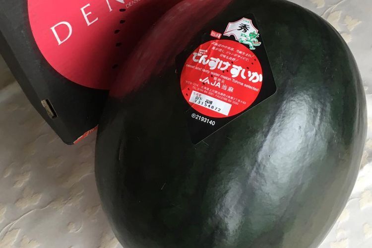 Densuke, Semangka Termahal di Dunia yang Dijual Seharga Rp83 Juta Per Buah, Kok Bisa?