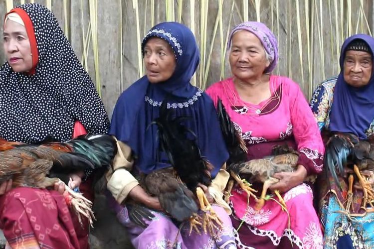 Ritual 'Aneh'! Ratusan Warga Enrekang Naik Bukit Sambil Membawa Ayam, Buat Apa?