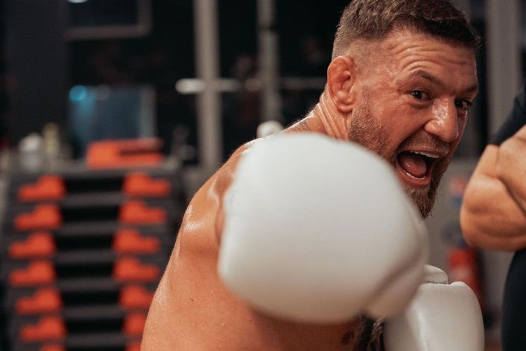 Conor McGregor Cari Lawan Tinju, Siapa Mau Tanding?
