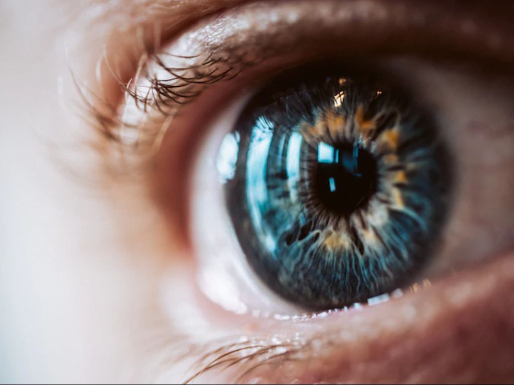 Gagal Bedain Warna? Bisa Jadi Kamu Alami Color Vision Deficiency