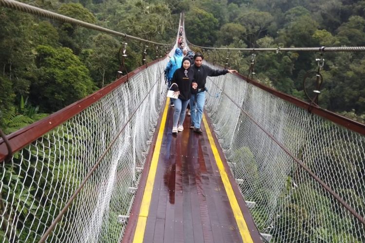 Bukan di Luar Negeri, Jembatan Gantung Terpanjang se-Asia Tenggara Ada di Ciwidey