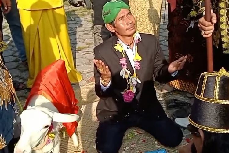 Heboh Pria di Gresik Nikahi Kambing dengan Mahar Rp22 Ribu