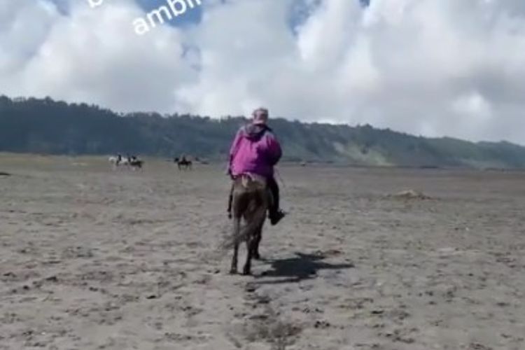 Viral, Wisatawan Diminta Rp 50 Ribu Gegara Rekam Kuda di Gunung Bromo Tanpa Izin
