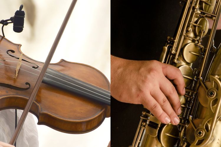 10 Contoh Alat Musik Harmonis dari yang Tradisional sampai Modern